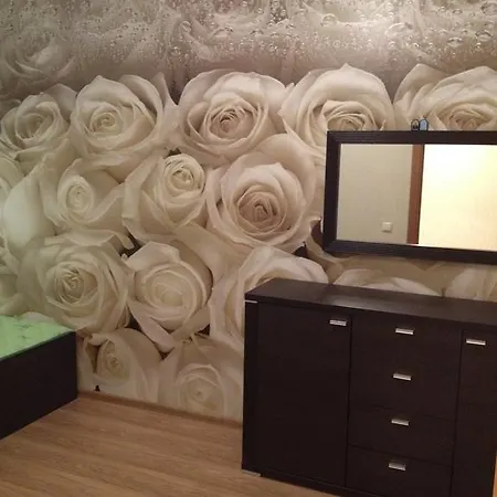 Apartment At Olshevskogo